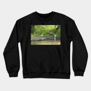 Shangri La Crewneck Sweatshirt